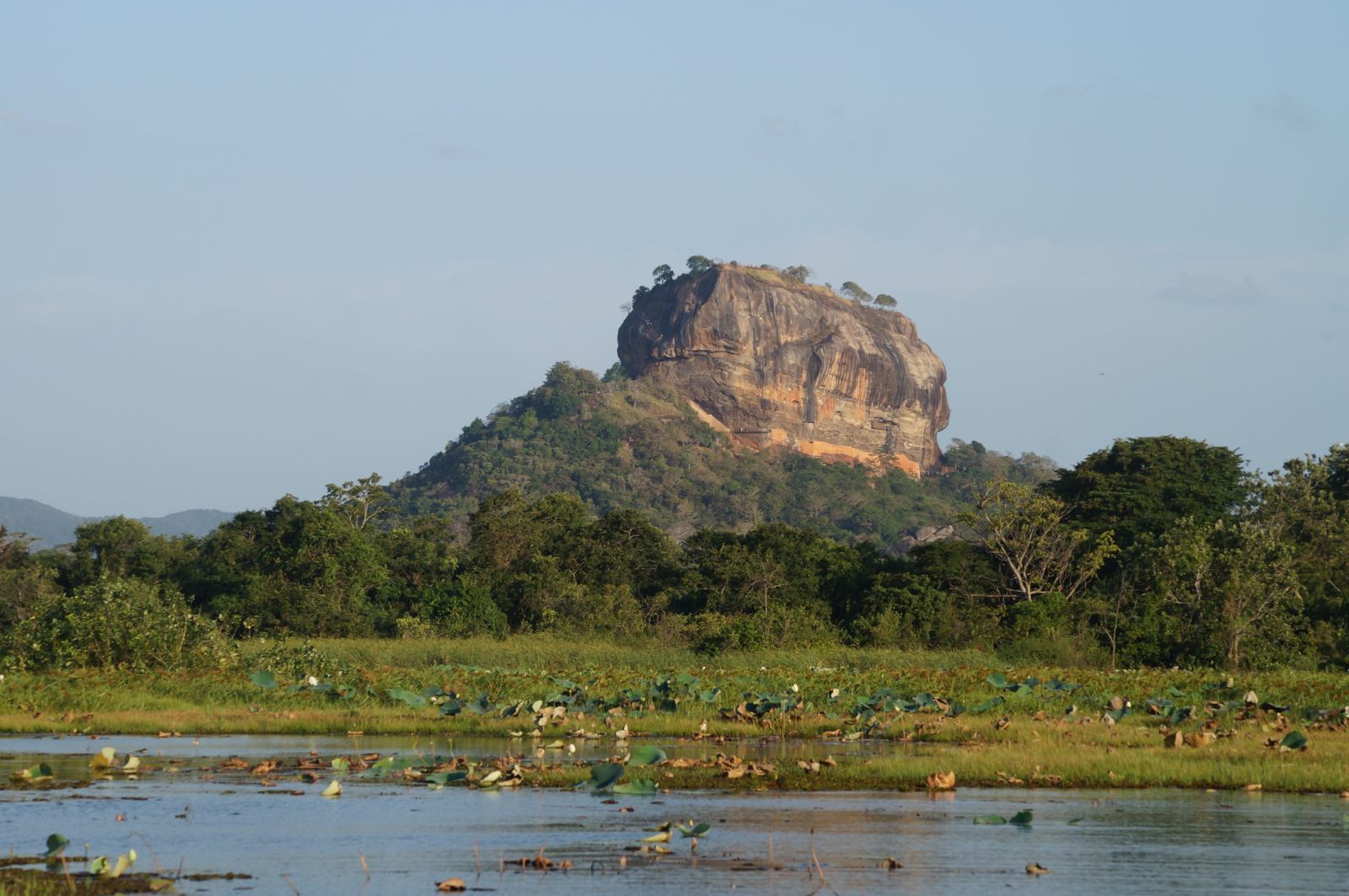 Sigiriya Rock Fortress rising above Sri Lanka's forest