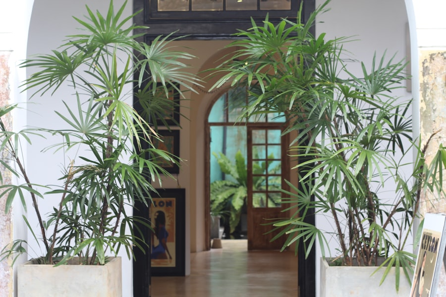 Plant-filled colonial hallway in Galle Fort, Sri Lanka